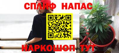 твердый Моздок