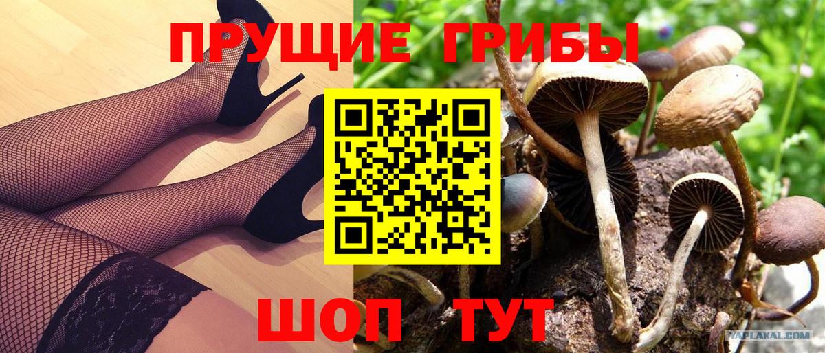 ГАШ Тавда