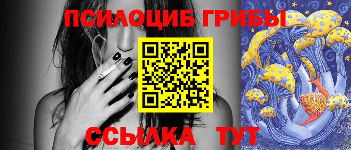 Псилоцибиновые грибы Cubensis Тавда