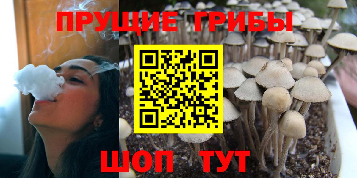 Псилоцибиновые грибы ЛСД  Вход с VPN  Тавда  Галлюциногенные грибы MAGIC MUSHROOMS 