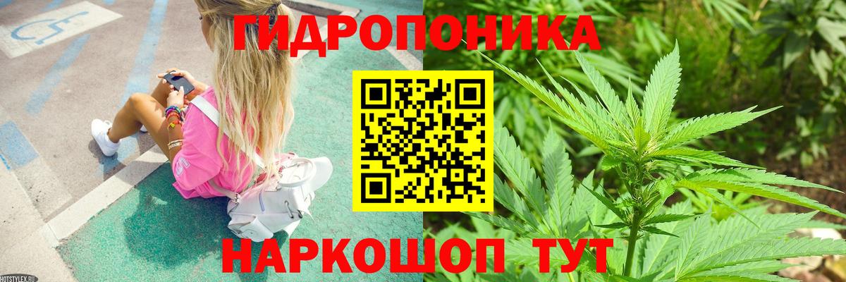 Бошки марихуана THC 21%  Марихуана SATIVA & INDICA  Вход с VPN  Тавда  Конопля SATIVA & INDICA 